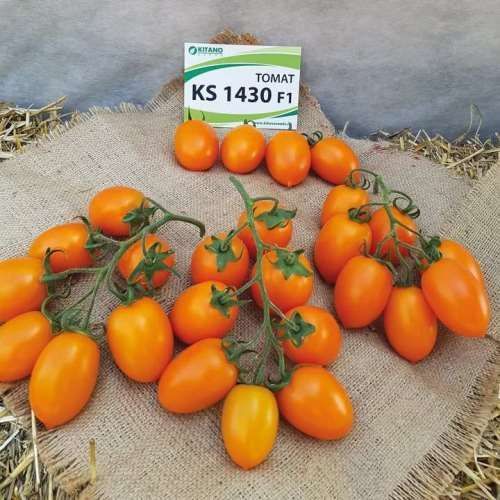 Томат Бенігара (KC1430) F1 | Benigara (KS1430) F1 Kitano Seeds 10нас. 4332135 фото