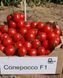 Томат СОЛЕРОССО F1 / SOLEROSSO F1 - 20нас. Nunhems 4335957 фото 2