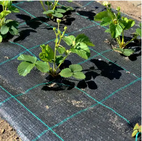 Агротканина Agrocover чорна 100 г/м&sup2; 3,3*100 м 5818284 фото