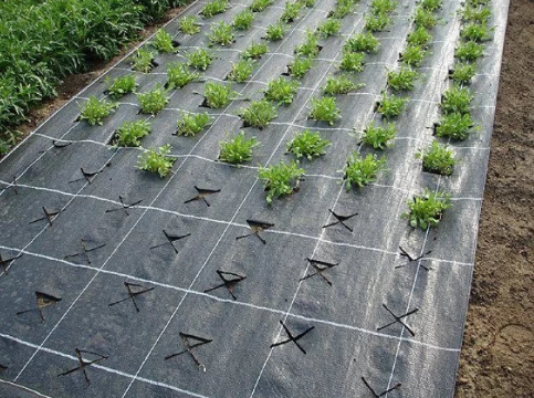 Агротканина Agrocover чорна 100 г/м&sup2; 3,3*100 м 5818284 фото