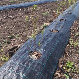 Агротканина Agrocover  чорна 100 г/м&sup2; 1,31х100 м 1000038 фото